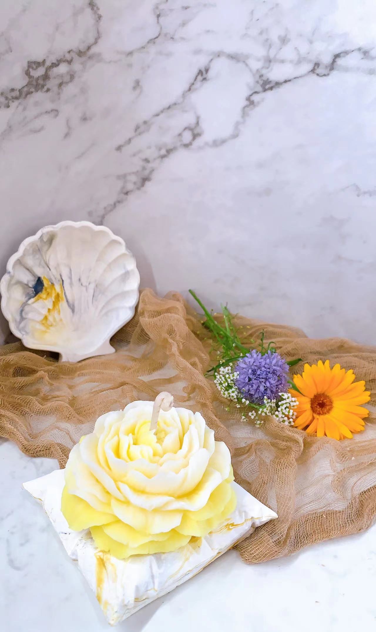 Claudine's Peony